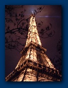 Eiffel Tower at night.